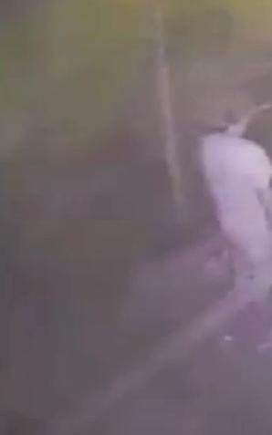 Czterej podejrzani o napad na Polaków w Rimini zatrzymani przez włoską Policję